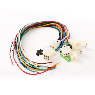 Electric Vehicle Wiring Harness